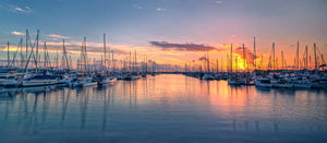 fine art photography print of Manly harbour at sunrise