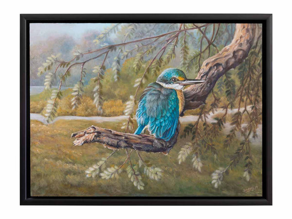 Original painting sacred kingfisher shown in its original frame