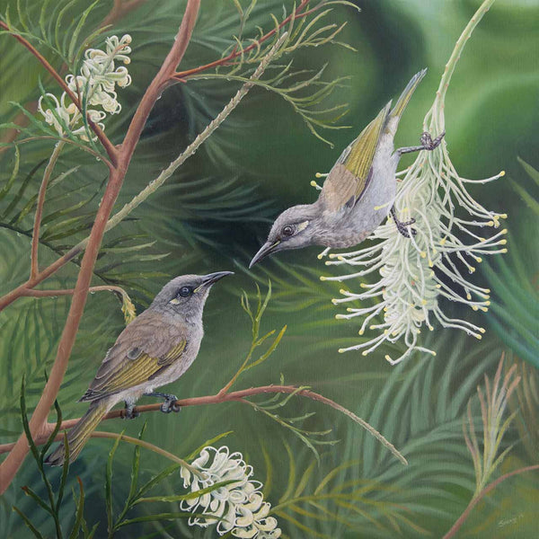 This calm and classy painting of two brown honeyeaters can be purchased as paper or canvas print for your wall art at home - created from my original painting