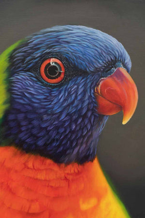 A close up portrait of rainbow lorikeet bird will make a great wall art for any home décor or office interior - created from my original painting
