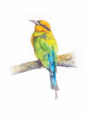 Beautiful colours of rainbow bee-eater captured in this wall art are incredible. Prints available in a3, a4 and a5 sizes on paper - created from my original painting
