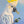 Notorious sulpher crested cockatoo stealing my sunflower for his breakfast actually makes an amazing wall art created from my original painting available as paper print